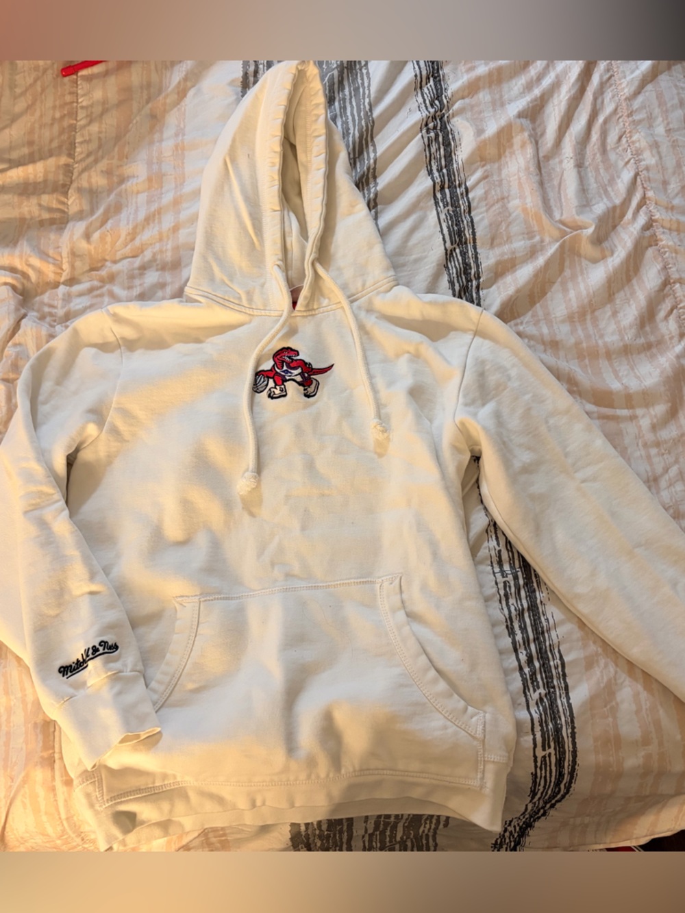 Raptors sweater with emblem (youth size but can fit women’s xxs or xs)